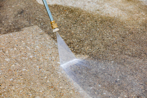 Best Gutter Cleaning  in South Amherst, OH